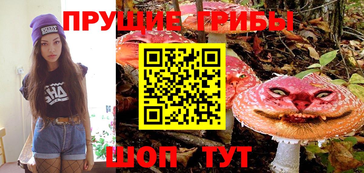 Псилоцибиновые грибы Psilocybine cubensis Сарапул